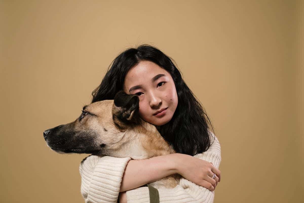 chien  propriétaire