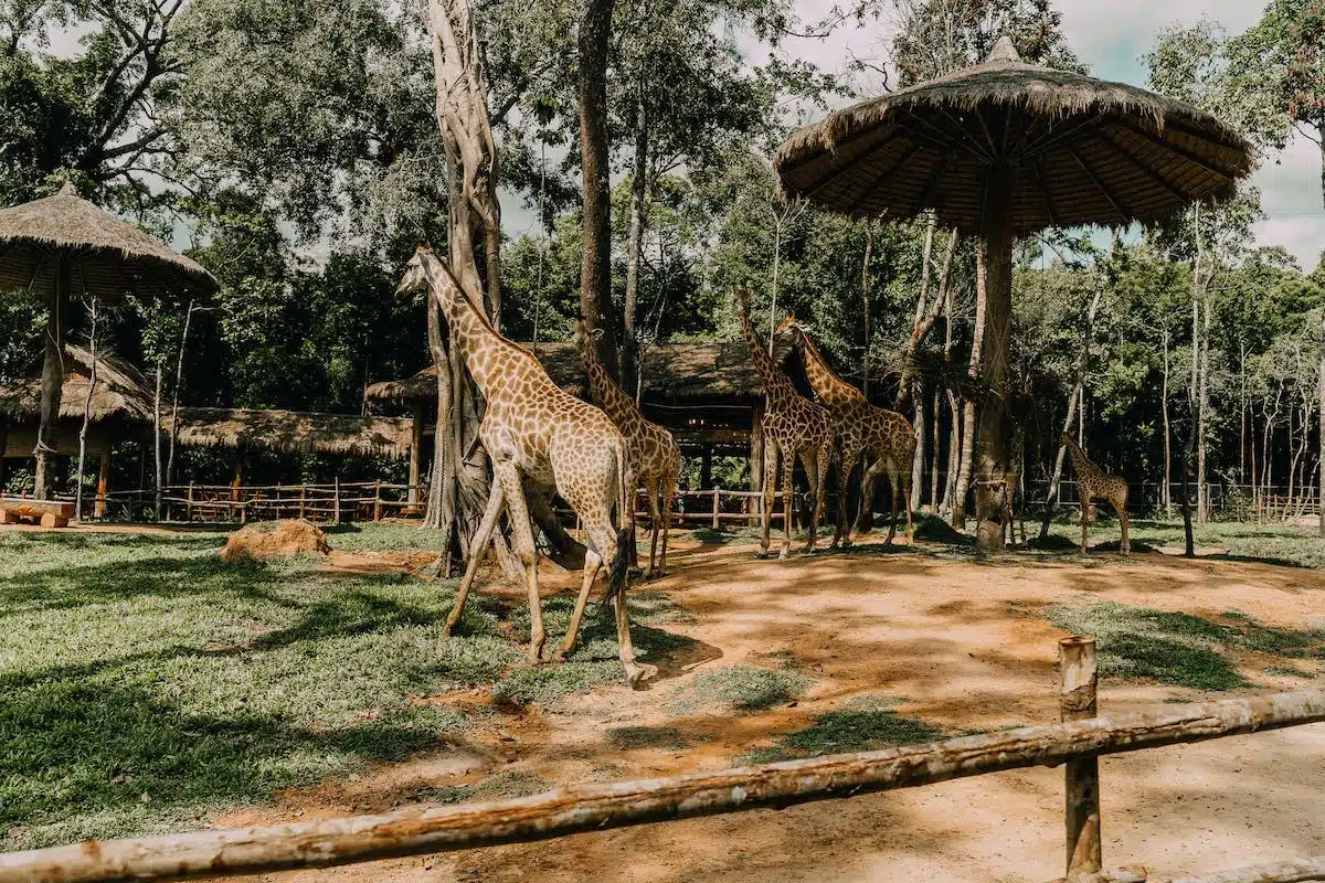 sanctuaire animaux