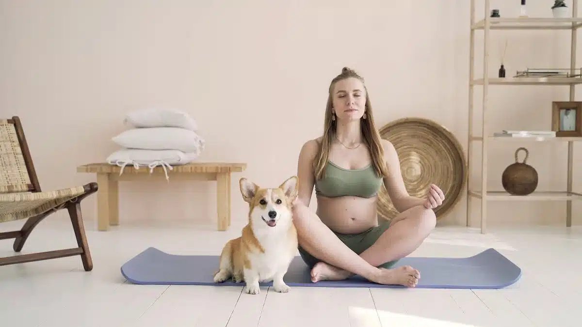 chien méditation