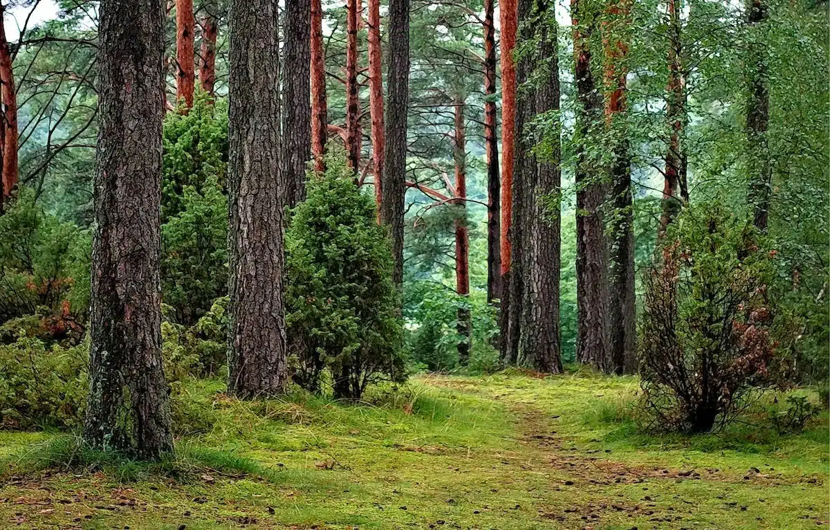 écologie  biodiversité