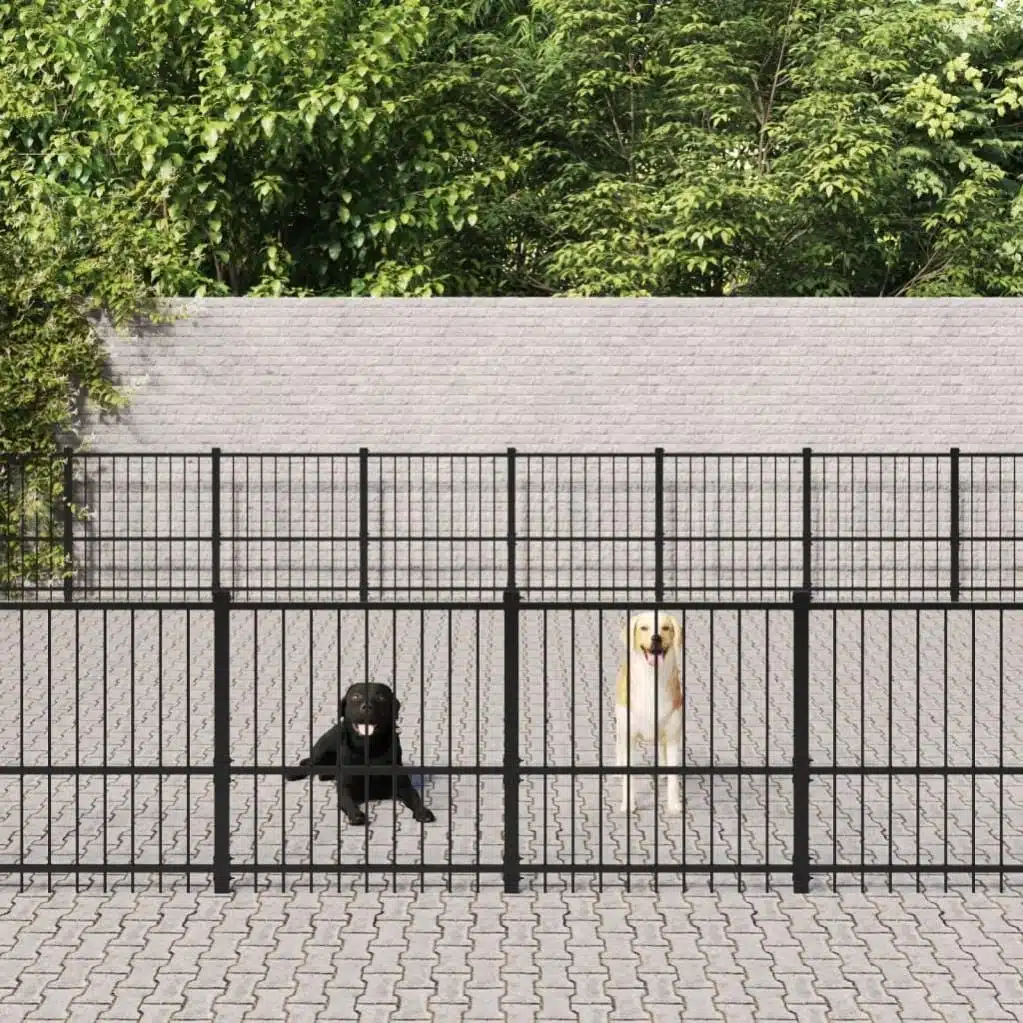 Design et installation de clôtures pour chiens : guide pratique