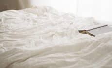 Punaises de lit : pourquoi contacter un professionnel ?