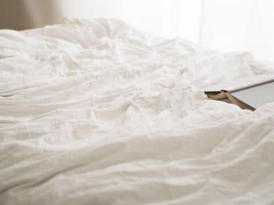 Punaises de lit : pourquoi contacter un professionnel ?