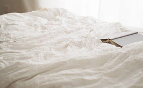 Punaises de lit : pourquoi contacter un professionnel ?