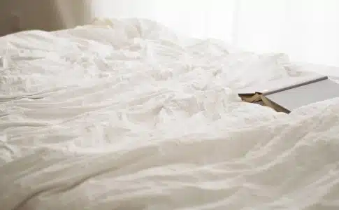 Punaises de lit : pourquoi contacter un professionnel ?