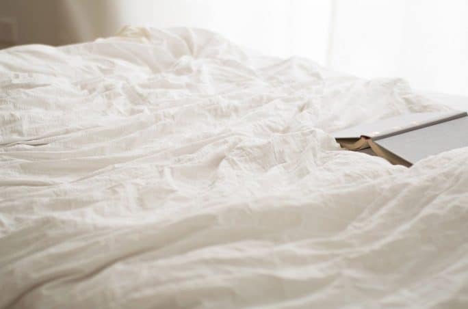 Punaises de lit : pourquoi contacter un professionnel ?