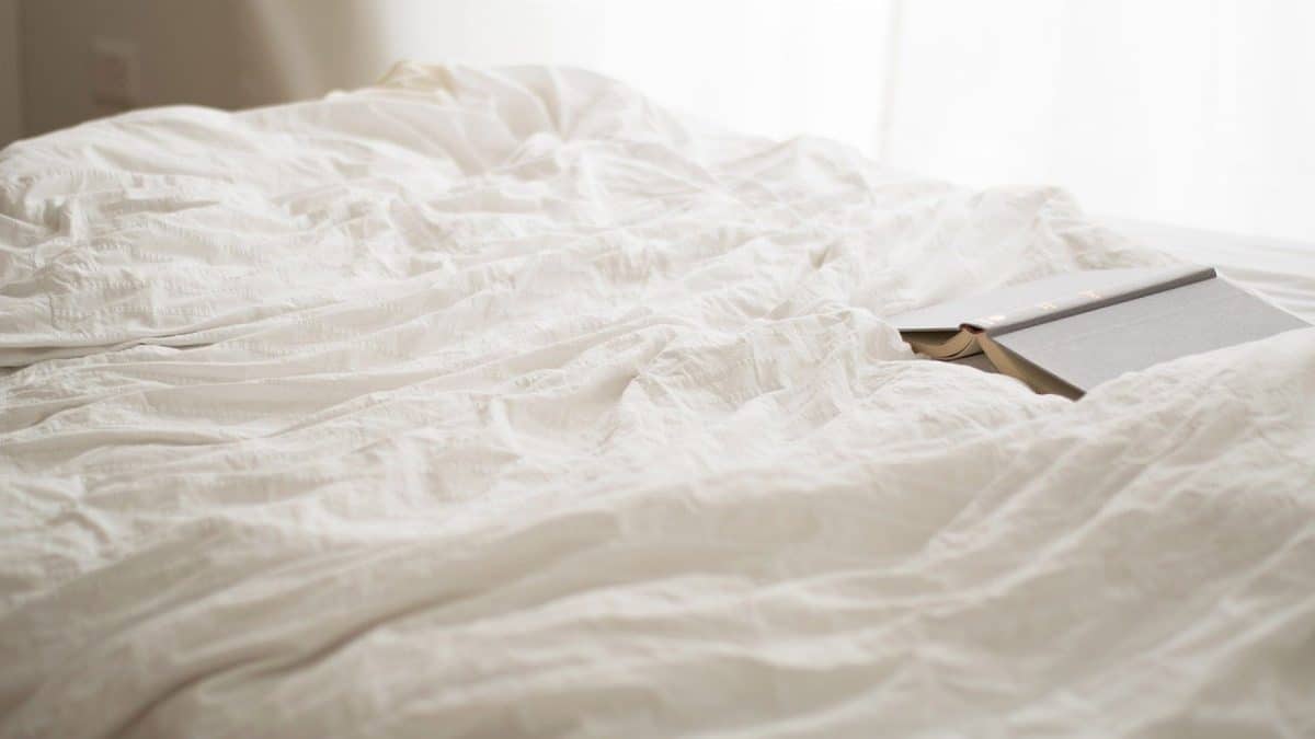Punaises de lit : pourquoi contacter un professionnel ?